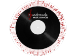 Sandromeda Music Services on the wedding wire and the knot 1