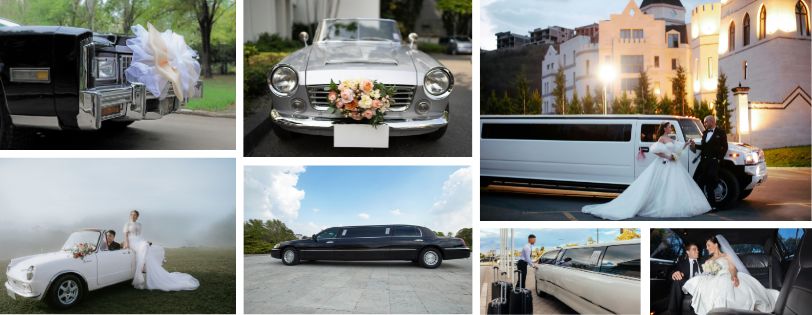 Elegant wedding cars with floral decor.